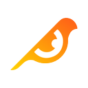 birdeye logo